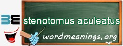 WordMeaning blackboard for stenotomus aculeatus